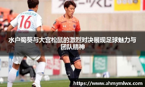 水户蜀葵与大宫松鼠的激烈对决展现足球魅力与团队精神