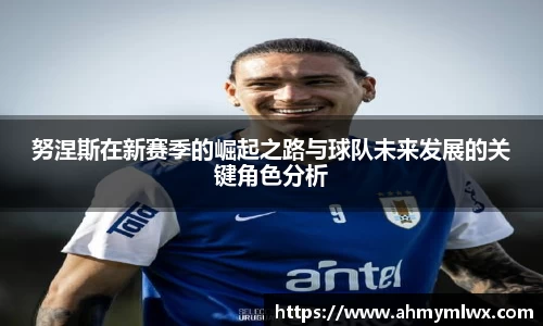 努涅斯在新赛季的崛起之路与球队未来发展的关键角色分析